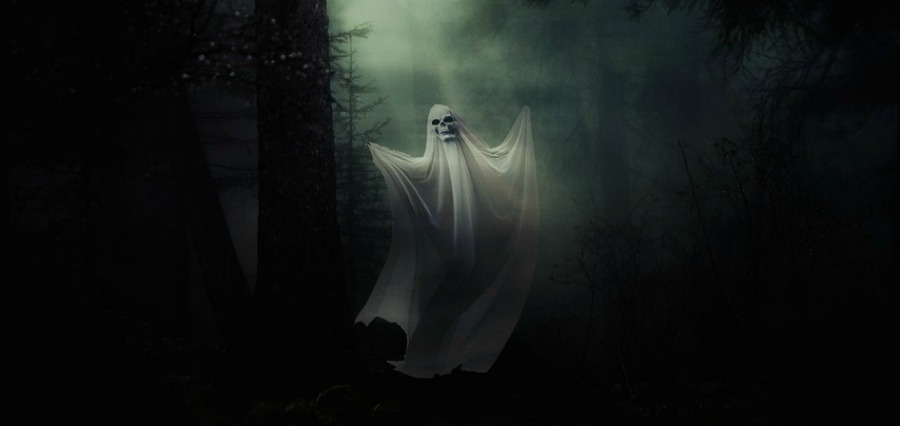 Halloween Ghost in the Forest