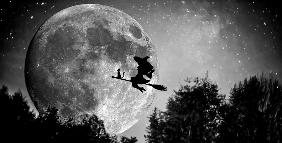 Halloween Witch in the Night Sky