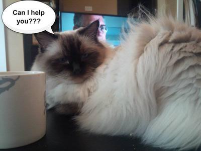 MMMMM This gift sounds tasty!!!!!