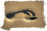 beach foot print