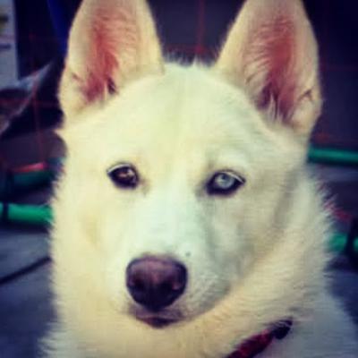 Barkarific Job! Now head to the pond and look down.  *click next pic